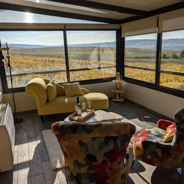 Maison Chez Papy Chapeau 4 étoiles, отель в городе Leuvrigny