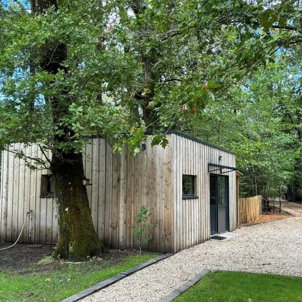 Studio en pleine nature !, hotel v destinaci Pessac