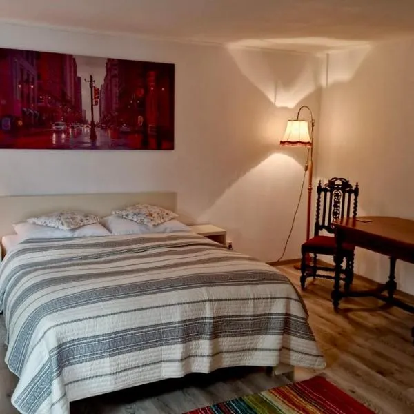 Casa Teo, hotel in Buzau