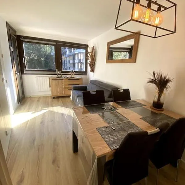 Appt Cosy au centre Chamonix, ξενοδοχείο στο Σαμονί Μον Μπλαν