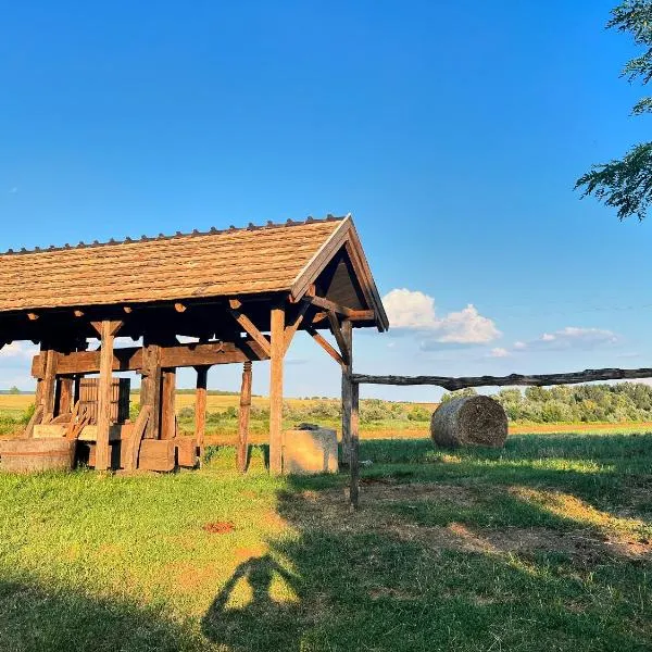 Buzál-Mórocza Pincészet és Szálláshely, hotel v destinaci Etyek