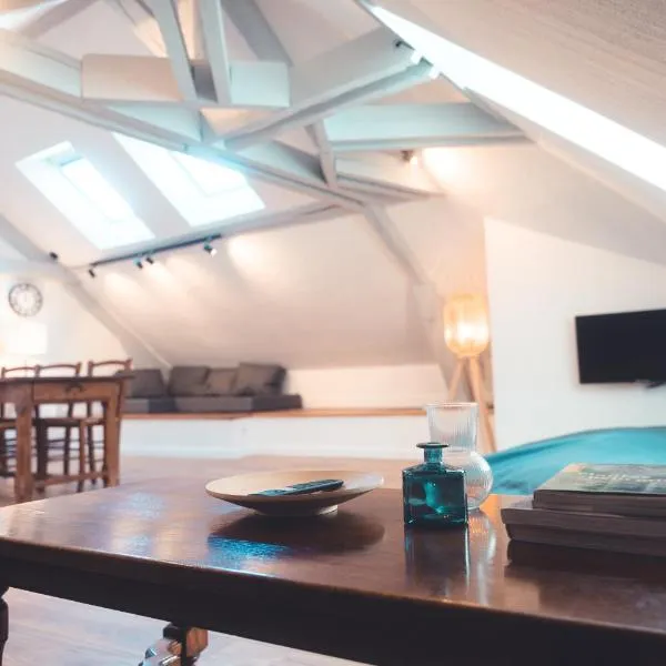 Le Nid dAigle - Spacieux logement sous les toits, hôtel à Tours