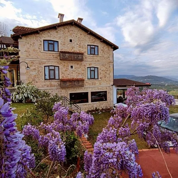 Hayat Oksijen Resort, hotel v destinaci Ordu