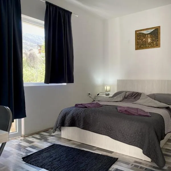 Studio Banjica, hotel v destinaci Soko Banja
