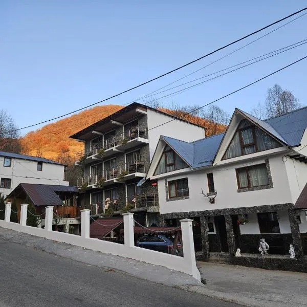 Casa Albiony Dâmbovicioara, ξενοδοχείο σε Dîmbovicioara