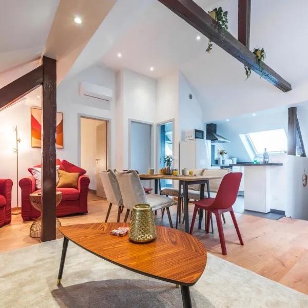 Le Robin des Toits - Moderne, hotel in Schiltigheim
