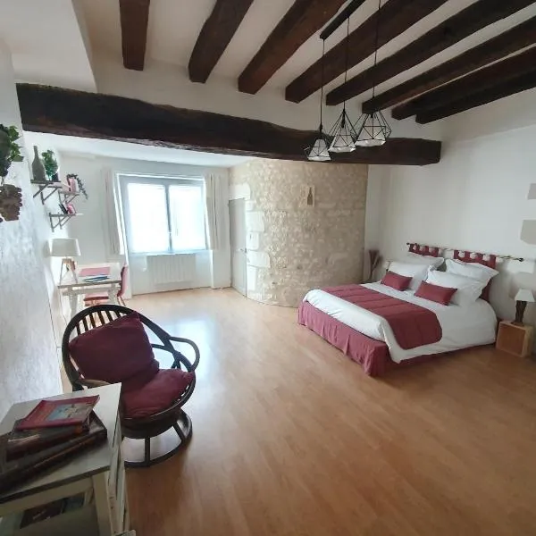 Vitis Vinifera, hotel in Cravant