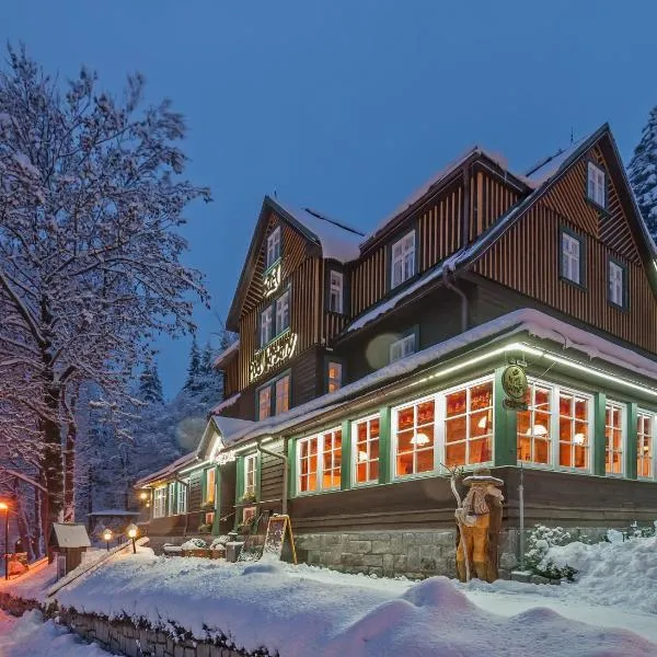 Hotel Pod Jasany, hotel sa Špindlerŭv Mlýn