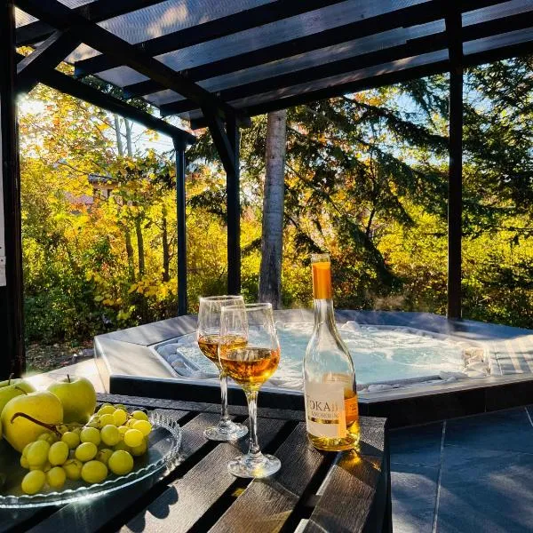 Vadgalamb Apartman & Jacuzzi, hotel v destinaci Miskolctapolca