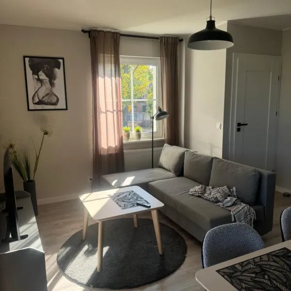 Apartament 9 Rydzyna, hotel v destinácii Rydzyna