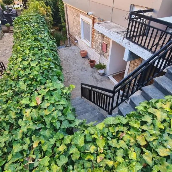 Το σπίτι της γιαγιάς, hotel v destinaci Paramythia