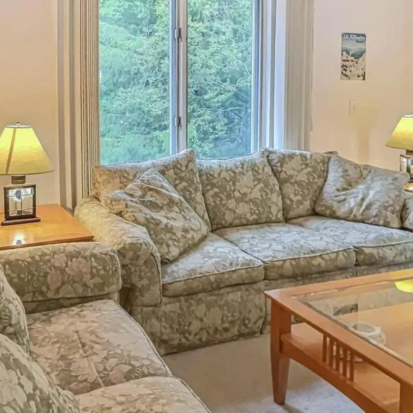 The Woods - Village-40, hotell sihtkohas Killington