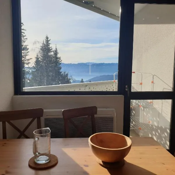 Plein Ciel sur les pistes 40m2 - 2 chambres, hotell sihtkohas Allevard