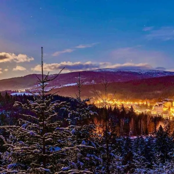 Maier Pension, ξενοδοχείο σε Bayerisch Eisenstein