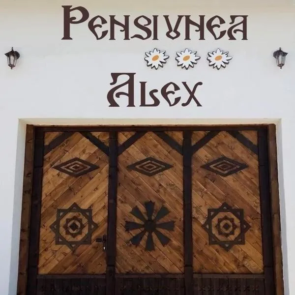 Pensiunea Alex, hotell sihtkohas Marga