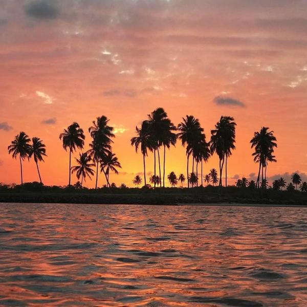 porto de galinhas beach Maracaipe - Foto 5