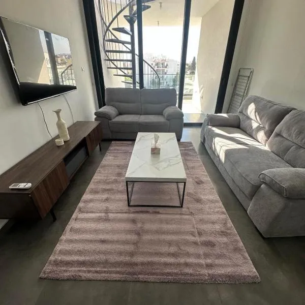 Luxurious two bedroom apartment with roof garden, hotel in Kato Lakatamia