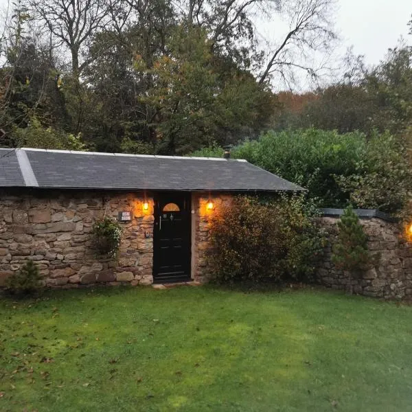 Shed Gwely, hotel in Govilon