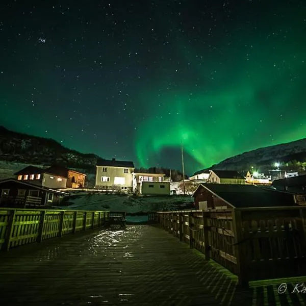 Elvegård Fjordcamp, hotell i Bogen