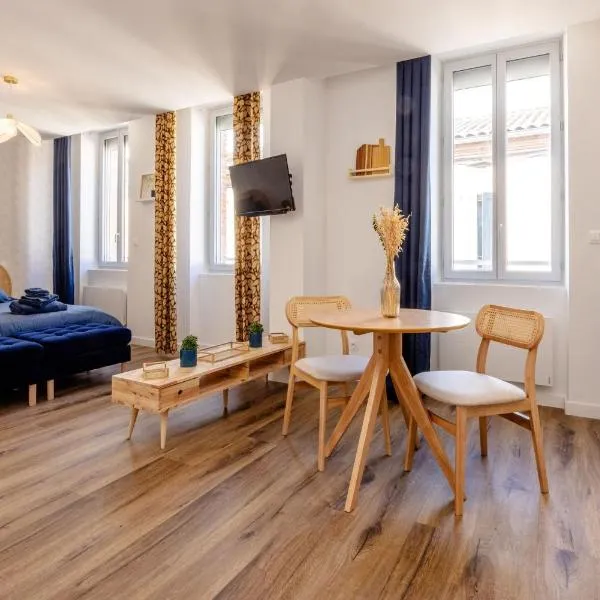 N5 Le Studio de Montaudry - Calme - Parking, hotel v destinaci Albi