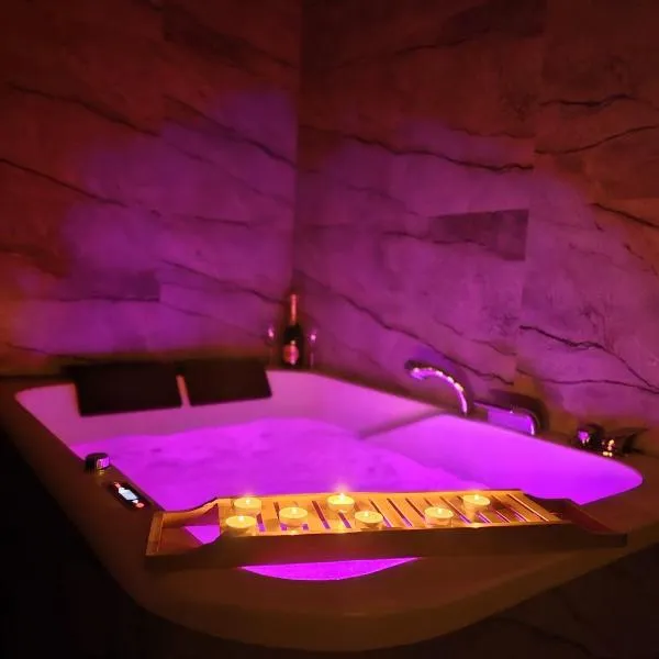 Centrum jacuzzi prywatny parking klimatyzacja 1, hotel in Radom