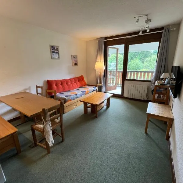 Appartement PRAZ DE LYS TMB – hotel w mieście Taninges