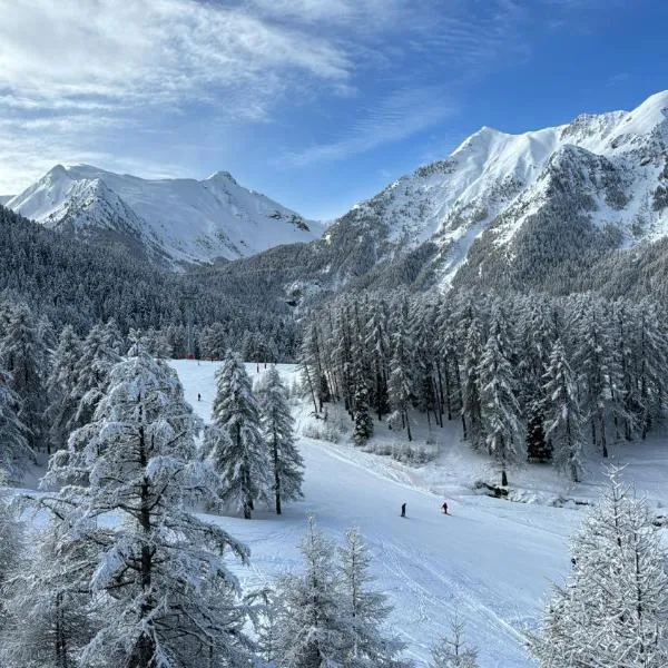 Grand studio 4 pers au pied des pistes - Wifi - parking, hotel in Les Orres