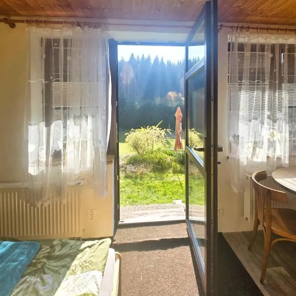 APARTMÁN u SJEZDOVKY, hotel a Albrechtice