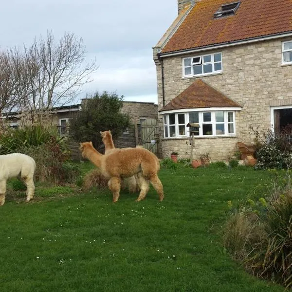 Jurassic Apartments, hotel in Weymouth