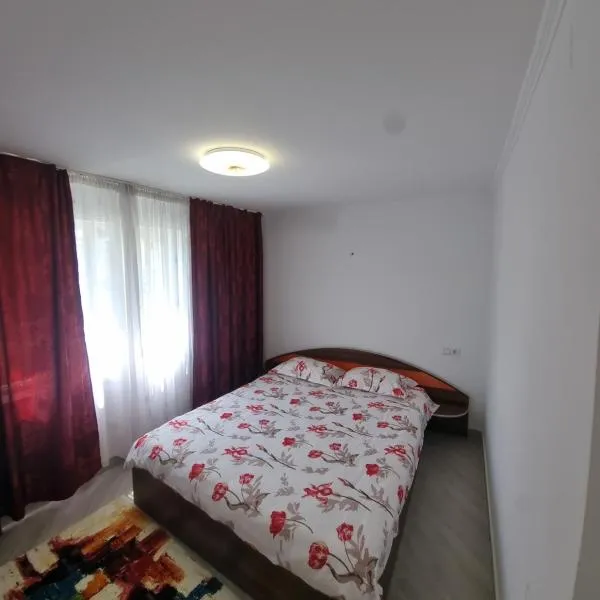 Cavnic Residence 1, hotel in Cavnic