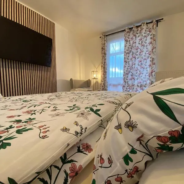 Apartmán Vráž u Písku, hotel v Písku