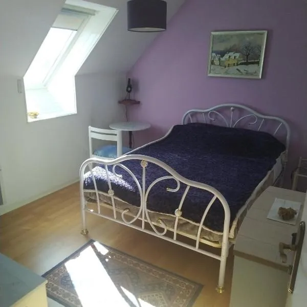 Chambre en maison chez l habitant, hotell i Joué-lés-Tours