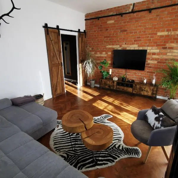 Apartament Comfort Sanok, hotel v destinaci Sanok