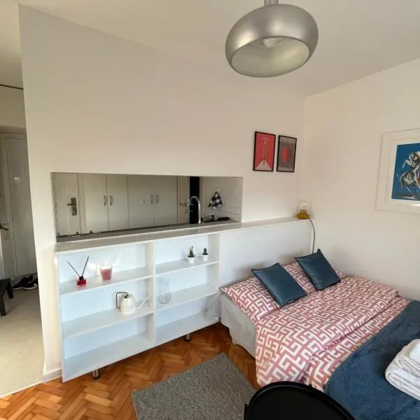 Maxim, hotel v destinaci Pančevo