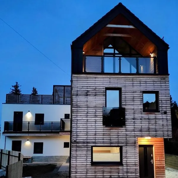 APART 558 Szczyrk SKI&BIKE premium apartamenty, basen, blisko wyciągów, hotel a Szczyrk