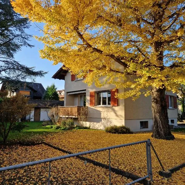 Viesnīca Swiss Chalet direkt am Thunersee pilsētā Tūna