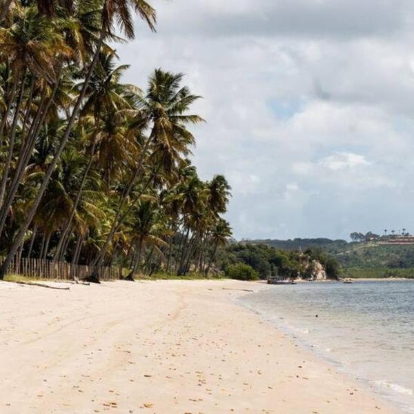 Praia dos Carneiros - Amura