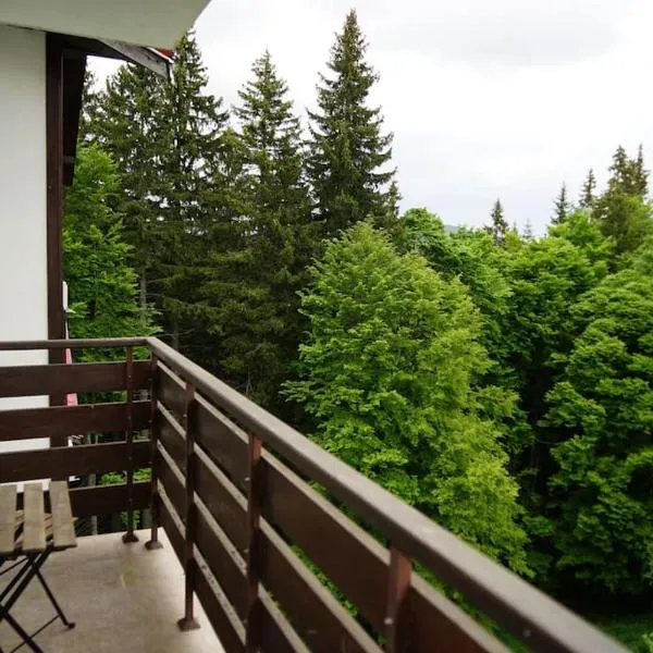 Апартамент за гости в Пампорово, hotel in Pamporovo