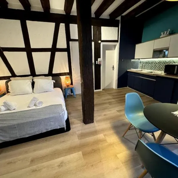 Suite Schwendi - Le petit tanneur - en Hypercentre โรงแรมในกอลมาร์