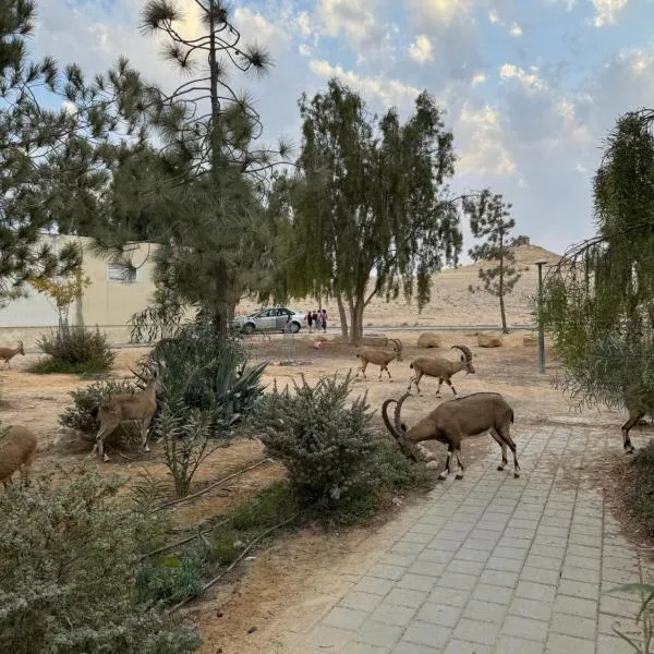 הבית המדברי, Hotel in Mitzpe Ramon