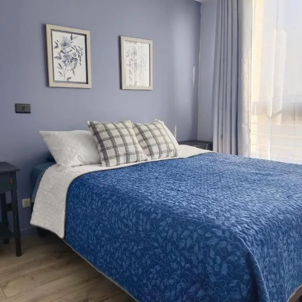 Uno y Dos dormitorios VIVIR EN SANTIAGO, hotel en Santiago