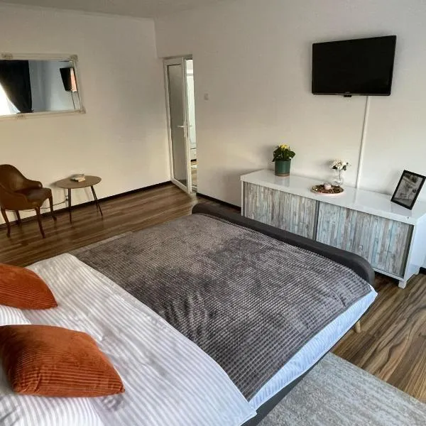 Apartament Husi, hotel en Huşi