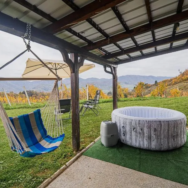 Apartment Trta with Vineyard View, hotel v destinaci Bistrica ob Sotli