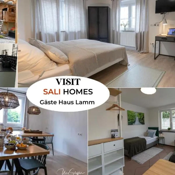 Sali Homes - GaesteHaus Lamm Obersulm, hotel in Obersulm