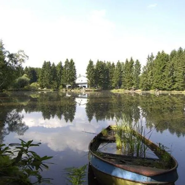 Hotel Steineweiher, hotel di Saint-Vith