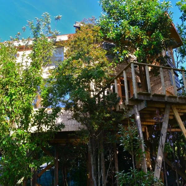 La Casa Del Árbol De Chiloé, hotel in Vilupulli