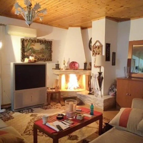 Vasiliki, хотел в Dhílesi