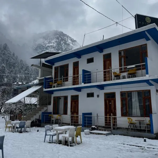Hotel Adinova, hotel in Kasol