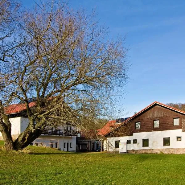 Penzion Hradek, hotel v destinaci Nový Hrádek
