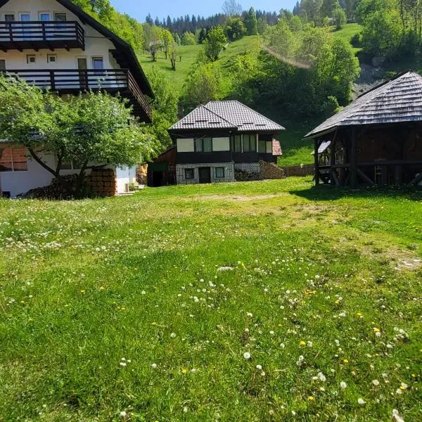 Casa Gigi Lupoiu, Hotel in Moieciu de Sus